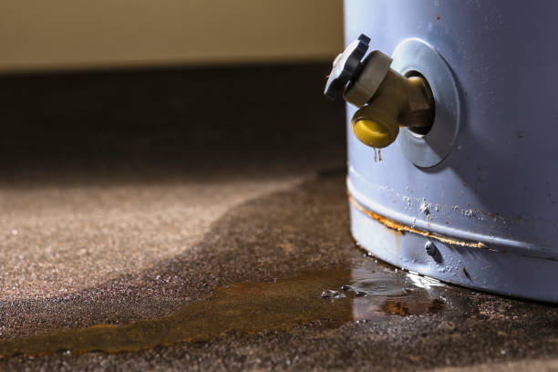 Best 24-hour water damage restoration  in Wellman, IA