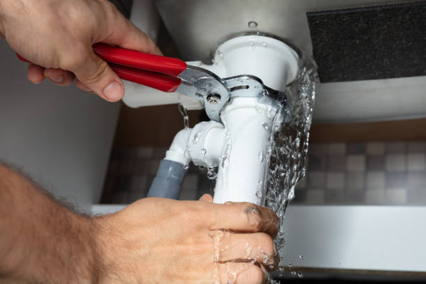 Best Carpet water damage restoration  in Wellman, IA