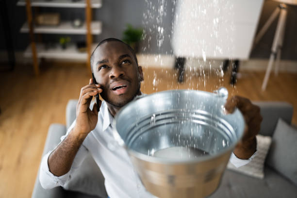 Best Water damage restoration mold remediation  in Wellman, IA