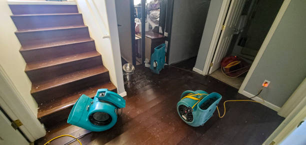 Best Residential water damage restoration  in Wellman, IA