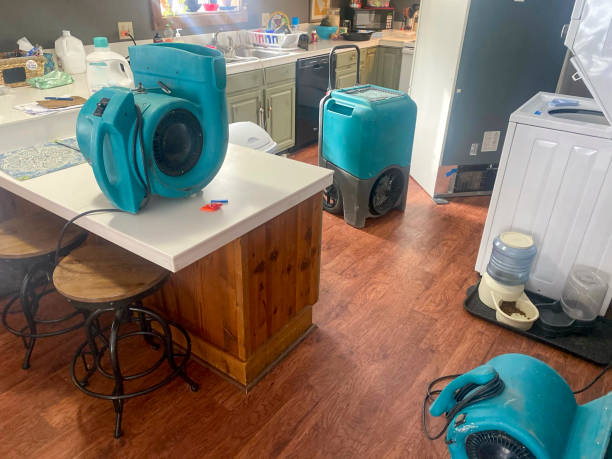 Best Emergency water damage restoration  in Wellman, IA