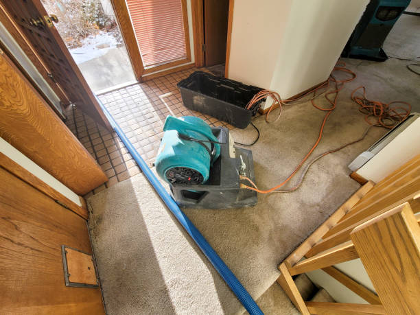 Best Flood damage cleanup  in Wellman, IA
