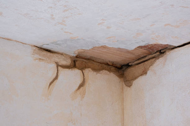 Best Commercial water damage restoration  in Wellman, IA