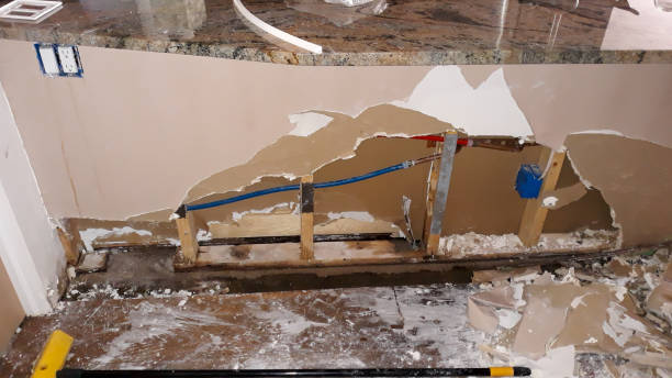 Best Professional water damage repair  in Wellman, IA