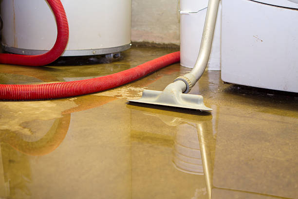 Best Ceiling water damage repair  in Wellman, IA