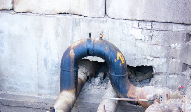 Best Water damage contractors near me  in Wellman, IA