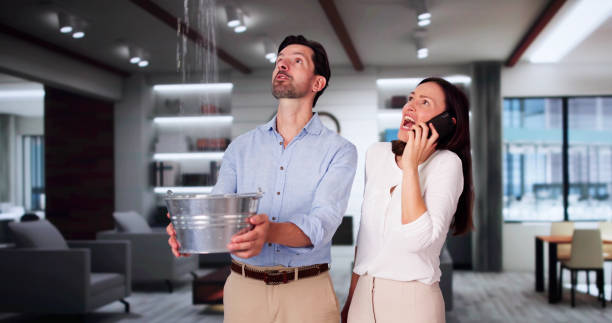 Best Water damage restoration cost  in Wellman, IA